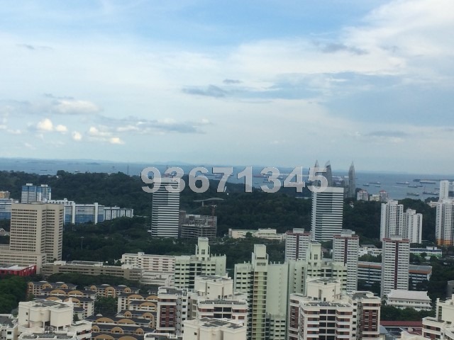 Ascentia Sky (D3), Condominium #671412